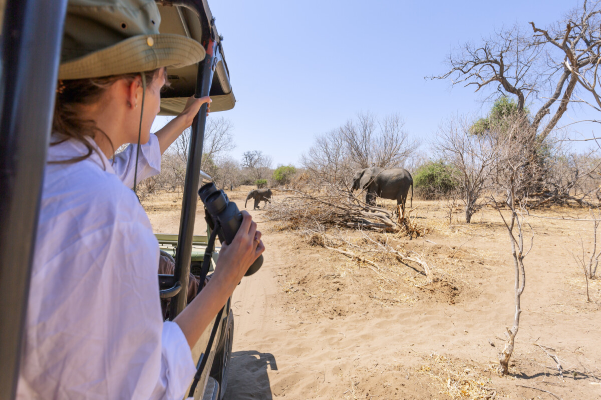 Etosha Nationalpark Frau mit Feldstecher schaut aus einem Safari-Fahrzeug